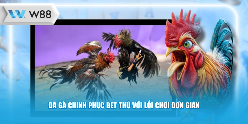 Đá gà chinh phục bet thủ với lối chơi đơn giản
