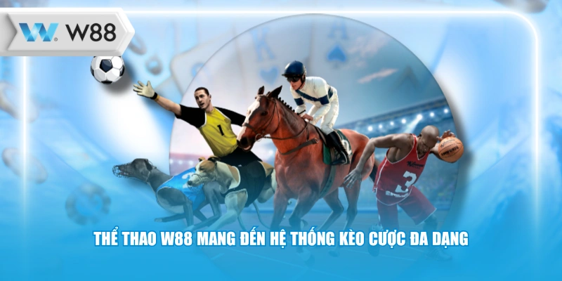 Thể thao W88 mang đến hệ thống kèo cược đa dạng